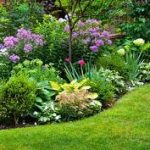 chto-nuzhno-znat-novichku-o-landshaftnom-dizajne-v-kieve